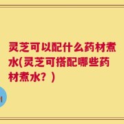 灵芝可以配什么药材煮水(灵芝可搭配哪些药材煮水？)