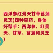 西洋参红景天甘草菖蒲灵芝(四种草药，身体好帮手：西洋参、红景天、甘草、菖蒲和灵芝)