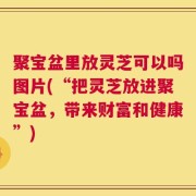 聚宝盆里放灵芝可以吗图片(“把灵芝放进聚宝盆，带来财富和健康”)
