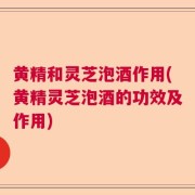 黄精和灵芝泡酒作用(黄精灵芝泡酒的功效及作用)