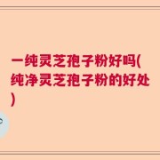 一纯灵芝孢子粉好吗(纯净灵芝孢子粉的好处)