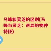 马蜂和灵芝的区别(马蜂与灵芝：迥异的物种特征)