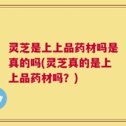 灵芝是上上品药材吗是真的吗(灵芝真的是上上品药材吗？)