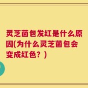 灵芝菌包发红是什么原因(为什么灵芝菌包会变成红色？)