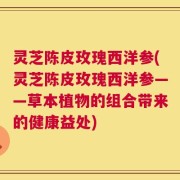 灵芝陈皮玫瑰西洋参(灵芝陈皮玫瑰西洋参——草本植物的组合带来的健康益处)