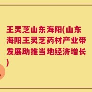 王灵芝山东海阳(山东海阳王灵芝药材产业带发展助推当地经济增长)