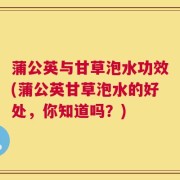 蒲公英与甘草泡水功效(蒲公英甘草泡水的好处，你知道吗？)