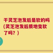 干灵芝泡发后是软的吗(灵芝泡发后质地变软了吗？)