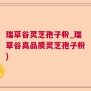 瑞草谷灵芝孢子粉_瑞草谷高品质灵芝孢子粉)