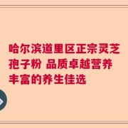 哈尔滨道里区正宗灵芝孢子粉 品质卓越营养丰富的养生佳选