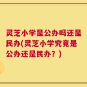 灵芝小学是公办吗还是民办(灵芝小学究竟是公办还是民办？)