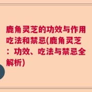 鹿角灵芝的功效与作用吃法和禁忌(鹿角灵芝:功效、吃法与禁忌全解析)