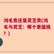 鸿毛贵还是灵芝贵(鸿毛与灵芝:哪个更值钱?)