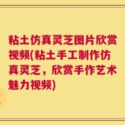 粘土仿真灵芝图片欣赏视频(粘土手工制作仿真灵芝，欣赏手作艺术魅力视频)