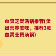 血灵芝煲汤锅推荐(煲出营养美味，推荐3款血灵芝煲汤锅)