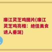 廉江灵芝鸡图片(廉江灵芝鸡亮相：绝佳美食诱人垂涎)