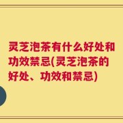 灵芝泡茶有什么好处和功效禁忌(灵芝泡茶的好处、功效和禁忌)