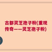 古都灵芝孢子粉(重现传奇——灵芝孢子粉)