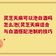 灵芝天麻可以泡白酒吗怎么泡(灵芝天麻适合与白酒搭配泡制的技巧。