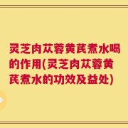 灵芝肉苁蓉黄芪煮水喝的作用(灵芝肉苁蓉黄芪煮水的功效及益处)