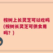 桉树上长灵芝可以吃吗(桉树长灵芝可供食用吗？)