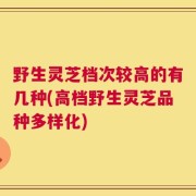 野生灵芝档次较高的有几种(高档野生灵芝品种多样化)
