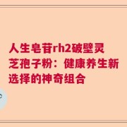 人生皂苷rh2破壁灵芝孢子粉：健康养生新选择的神奇组合