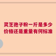 灵芝孢子粉一斤是多少价格还是重量有何标准