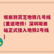 坂田到灵芝地铁几号线(重返地铁！深圳坂田站正式接入地铁2号线)