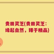 贵田灵芝(贵田灵芝：缘起自然，臻于精品)