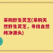 采购野生灵芝(采购天然野生灵芝，寻找自然纯净源头)