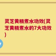 灵芝黄精煮水功效(灵芝黄精煮水的7大功效)