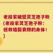 老段家破壁灵芝孢子粉(老段家灵芝孢子粉：拯救墙裂衰颓的身体！)