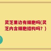 灵芝里边有细胞吗(灵芝内含细胞结构吗？)