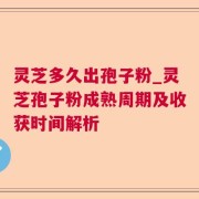 灵芝多久出孢子粉_灵芝孢子粉成熟周期及收获时间解析