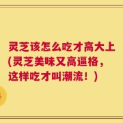 灵芝该怎么吃才高大上(灵芝美味又高逼格，这样吃才叫潮流！)