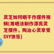 灵芝如何晒干作摆件视频(用晒法制作漂亮灵芝摆件，陶冶心灵享受DIY快乐)