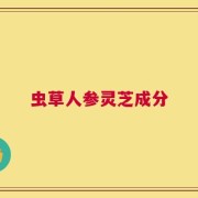 虫草人参灵芝成分