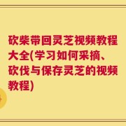 砍柴带回灵芝视频教程大全(学习如何采摘、砍伐与保存灵芝的视频教程)