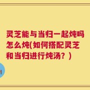 灵芝能与当归一起炖吗怎么炖(如何搭配灵芝和当归进行炖汤？)
