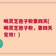 喝灵芝孢子粉第四天(喝灵芝孢子粉，第四天见效！)