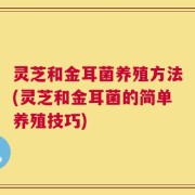 灵芝和金耳菌养殖方法(灵芝和金耳菌的简单养殖技巧)