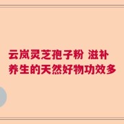 云岚灵芝孢子粉 滋补养生的天然好物功效多