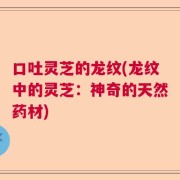 口吐灵芝的龙纹(龙纹中的灵芝：神奇的天然药材)