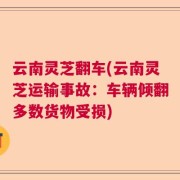 云南灵芝翻车(云南灵芝运输事故：车辆倾翻多数货物受损)