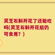 灵芝石斛开花了还能吃吗(灵芝石斛开花后仍可食用？)
