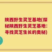 陕西野生灵芝基地(探秘陕西野生灵芝基地：寻找灵芝生长的奥秘)