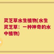 灵芝草水生植物(水生灵芝草：一种神奇的水中植物)