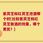 紫灵芝和红灵芝泡酒哪个好(比较紫灵芝和红灵芝做酒的效果，哪个更优？)