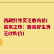 西藏野生灵芝收购价(高原之珠：西藏野生灵芝收购价)